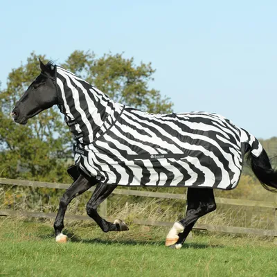 Immagine prodotto di Bucas Fly Rug Buzz-Off Coperta a collo intero Zebra 90