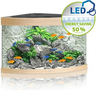 Zdjęcie produktu dla Juwel Trigon 190 LED jasne drewno - akwarium Juwel
