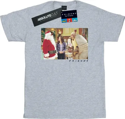 Produktbild von Friends - "The Holiday Armadillo" T-Shirt für Damen BI23539 (XXL) (Grau)