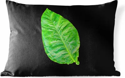 Produktbild von MuchoWow® Outdoor Kissen - Grüne Blätter auf schwarzem Hintergrund - 60x40 cm - Wetterfest - Lounge Kissen - Zierkissen - Kissen für Innenräume