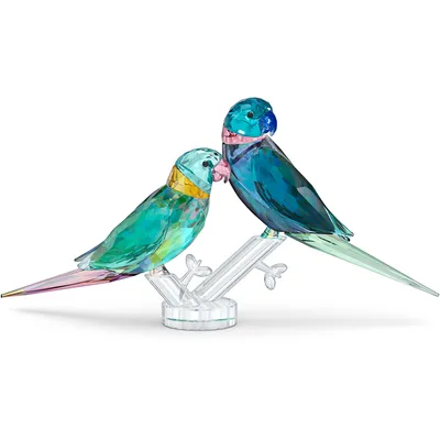 Image de articles cadeaux Swarovski Jungle Beats