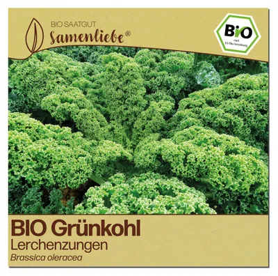 Produktbild von Samenliebe  Grünkohl Samen | Lerchenzungen - winterhart & zweijährig & traditionell - samenfestes  Saatgut