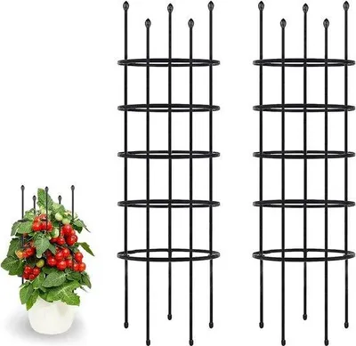 Immagine prodotto di Supporto da giardino per piante rampicanti - Supporto modulabile per pomodori e frutta - 2 pezzi - H: 160 cm - Spirale per pomodori