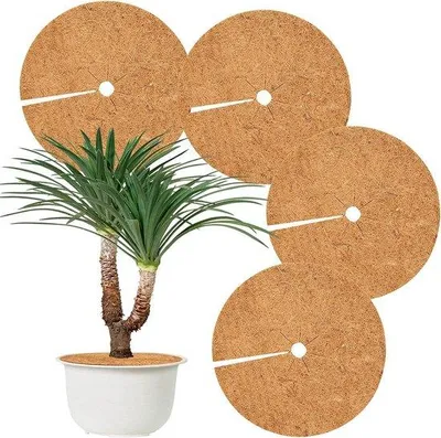 Produktbild von Kokosmulch-Schutzschicht Ø45cm Winterbeschermung für Pflanzen