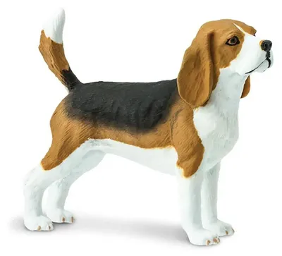 Image de Safari Ltd Beagle Marron / Blanc / Noir Taille unique