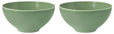 Zdjęcie produktu dla Seltmann Weiden - Zestaw 2 misek 15.5cm Beat Color Glaze eukaliptusowy