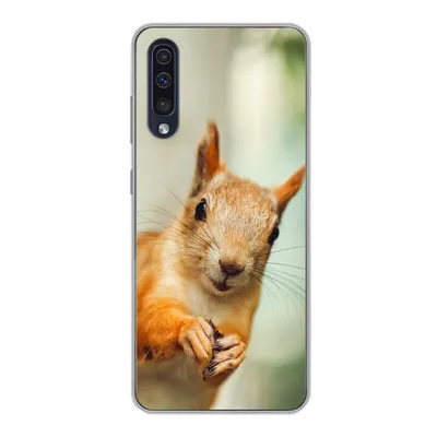 Produktbild von MuchoWow® Handyhülle Schutzhülle Hülle für Samsung Galaxy A30s Eichhörnchen - Lustig - Nuss - Kinder - Jungen - Mädchen - Kind Silikon Softcase Handy Hülle - Karteninhaber
