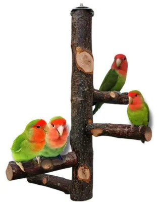 Produktbild von Vogelständer Naturholz Papageienstange Sitzstange für kleine Vögel 30cm