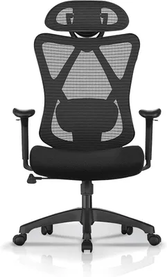 Immagine prodotto di Sedia da ufficio Estelle - Sedia ergonomica per ufficio - Sedia per computer - Sedia con struttura a rete - Supporto lombare regolabile - Poggiatesta - Capacità di carico fino a 150 kg - Altezza regolabile - Colore: nero