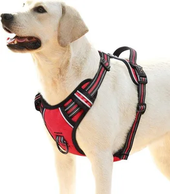 Produktbild von Famanu Hundegeschirr, no-pull, für mittelgroße Hunde, weich, atmungsaktiv, verstellbar, reflektierend, mit gepolsterter Handgriff, rot, L