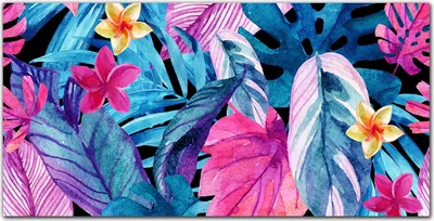 Produktbild von Coloray Küchenrückwand 140x70 Spritzschutz aus Glas - monstera Blatt
