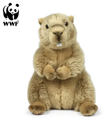 Produktbild von WWF - Plüschtier - Murmeltier (23cm) lebensecht Kuscheltier Stofftier