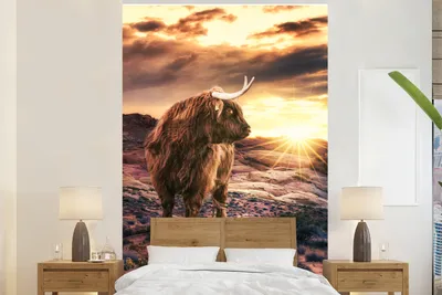 Produktbild von MuchoWow® Fototapete für Wohnzimmer oder Schlafzimmer Wandtapete Vinyl Motivtapete Schottischer Highlander - Sonnenuntergang - Tier - 195x300 cm - Das Hintergrundbild