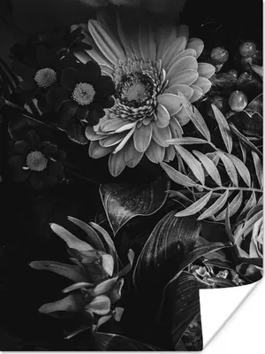 Produktbild von MuchoWow® Poster Blumenstrauß - Stilleben - Blumen - Pflanzen - Rot 90x120 cm - Wohnzimmer