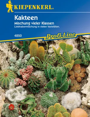 Produktbild von [STREICHUNG 2024] Kakteen Mischung vieler Klassen | Kaktussamen von Kiepenkerl