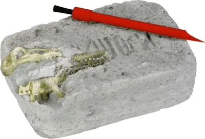 Produktbild von T-Rexworld Ausgrabungsset Triceratops - T-Rex World