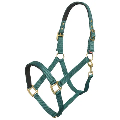Immagine prodotto di Imperial Riding Halfter IRHClassic Sport Classic Stallhalfter Forest Green Full