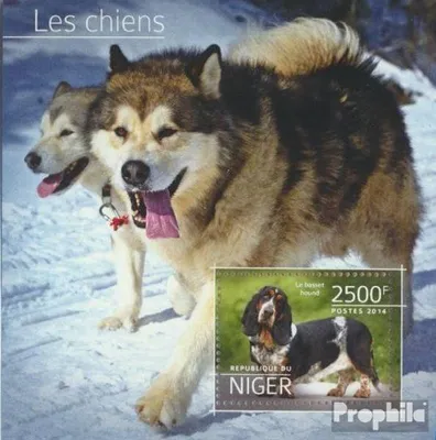 Produktbild von Briefmarken Niger 2014 Mi Block 385 (kompl. Ausg.) postfrisch Hunde