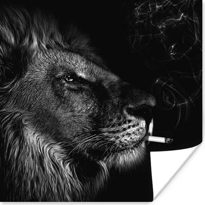 Produktbild von MuchoWow® Poster Löwe - Rauchen - Schwarz - Weiß 75x75 cm - Wand Dekoration