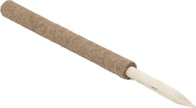 Produktbild von Windhager Kokos-Pflanzstab 60 cm