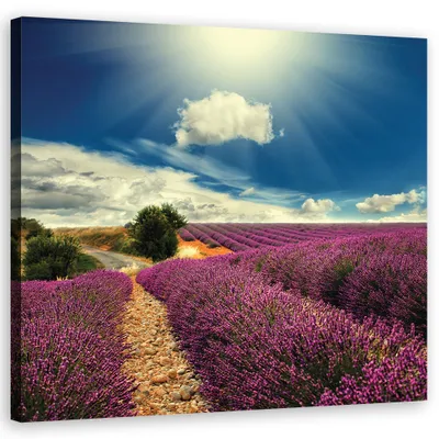 Produktbild von Leinwandbild landschaften - violett 40x40 cm Feeby lila wandbild bereit zum aufhängen