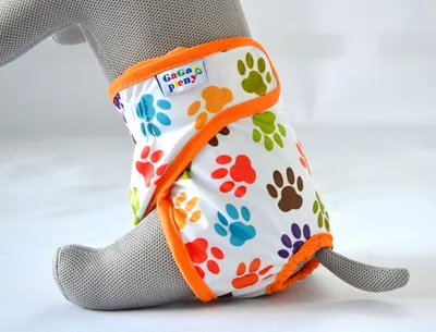 Image de Culotte GaGa pour chiens Packy L