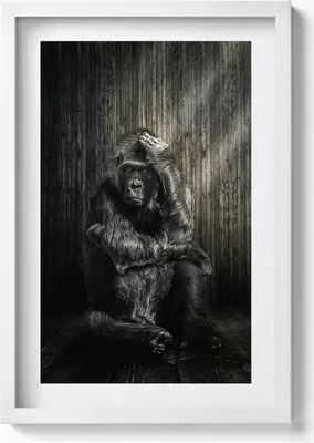 Produktbild von Ein Affe, der im Schatten grübelt– Wandbild mit Rahmen – Gerahmtes Bild  – Wanddekoration – 40x60 cm – Weiß