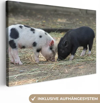 Produktbild von MuchoWow® - Leinwandbilder - Schweine - Ferkel - Stroh, Wandbild, Wanddeko Bilder Wohnzimmer, 60x40 cm