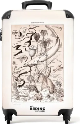 Produktbild von NoBoringSuitcases.com® Kufry Příruční kufr na kolečkách Malý cestovní kufr na 4 kolečkách - Zvířata - Moře - Vintage - Retro - Ilustrace - Příruční velikost < 55x40x23 cm a 55x40x20 cm - Foto kufr - Příruční kufr - Palubní zavazadlo Příruční kufr 55x35x20 cm, 36L,