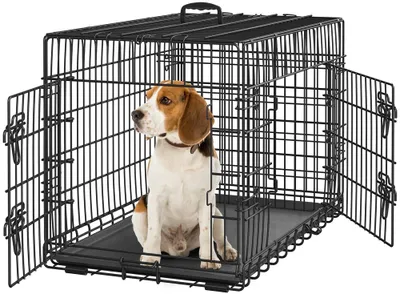 A beagle dog sits inside a black metal dog crate with two doors open.