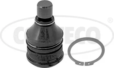 Produktbild von CORTECO Traggelenk Unten Vorne Rechts Vorne Links für MAZDA 5 (CR19) 49398485