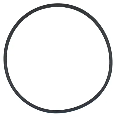 Productafbeelding van O Ring Afdichting voor Zwembadfilterpomp 170 230