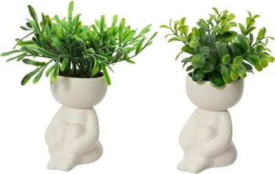 Produktbild von Künstliche Pflanze im Topf Körper h16cm