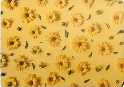 Produktbild von Blumen auf einem Hintergrund – Bodenschutzmatte – Stuhlunterlage 100x70 cm – Rutschfest – Hartbodenmatte