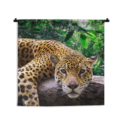Produktbild von MuchoWow® Wandteppich Wandbehang Jaguar ruht 90x90 cm Tapisserie Dekoration Wandtuch - Wandaufhänger