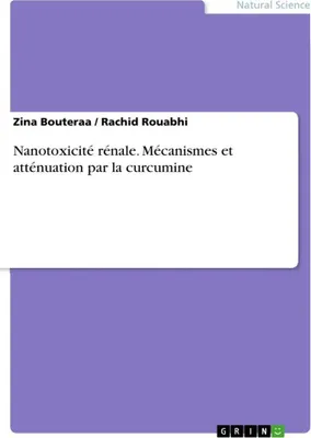 Produktbild von Nanotoxizität in den Nieren. Mechanismen und Abschwächung durch Curcumin