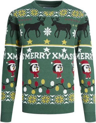 Immagine prodotto di Maglione unisex JORHOHO Jack & Jones 12221312 verde - 10 anni