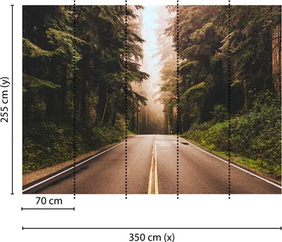 Produktbild von Tadessi Fototapete | Wald | 3.50 m x 2.55 m | Braun | Grün | Wandbild | Digitaldruck