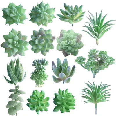 Obrázok produktu pre TRANKIELO® - 15 kusov umelých sukulentov - Miniatúrne rastliny Echeveria - Trvanlivá a nenáročná dekorácia