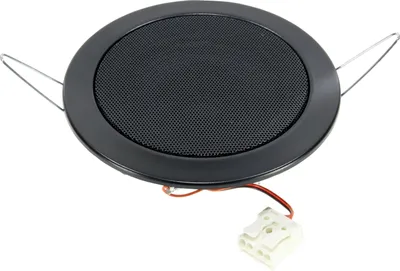 Immagine prodotto di Visaton 50178 DL 8 (RAL 9005) -8 Ohm altoparlante da soffitto 1 pezzo, nero