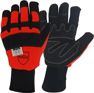 Image de Gants De Tronconnage