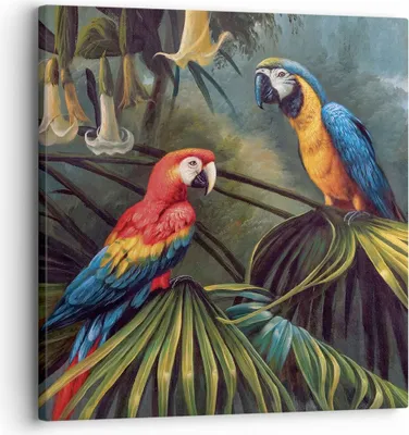 Produktbild von Bild auf Leinwand - Leinwandbild - Einteilig - Ara Papageien Palmen - 30x30cm - Wand Bild - Wanddeko - Wandbilder - Leinwanddruck - Bilder - Wanddekoration - Leinwand bilder - Wandbild - AC30x30-4780