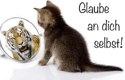 Produktbild von Kulthänger Blechschild Glaube an dich selbst KH 080