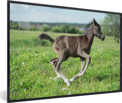 Produktbild von MuchoWow® MuchoWow® Gerahmtes Poster Pferd - Blumen - Gras 30x20 cm - Poster mit zchwarzem Bilderrahmen - Kunstdruck - Bild-Poster