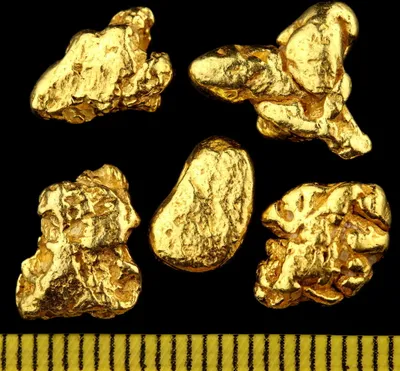 Five gold nuggets are displayed against a black background, with a ruler at the bottom for scale.