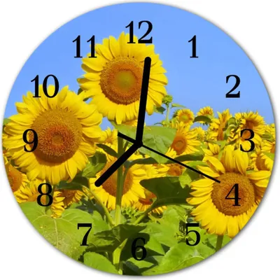 Produktbild von Glasuhr Wanduhr Küchenuhr Echt-Glas 30fi cm Sonnenblumen gelb