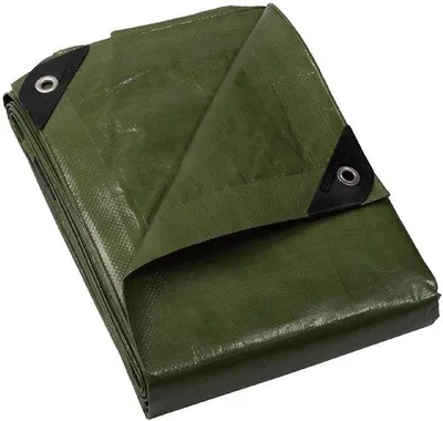 Productafbeelding van Waterdicht Afdekzeil 5x6 m met Inslagringen - Polyester 120 g/m² - UV-gestabiliseerd & Scheurvast - Groen