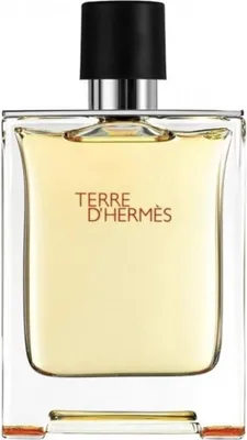 Imagen del producto de Hermès Terre d'Hermès Eau de Toilette, 50 ml: Tamaño: 50 ml