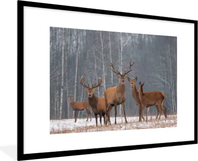 Produktbild von MuchoWow® MuchoWow® Gerahmtes Poster Hirsche - Wald - Winter 90x60 cm - Poster mit zchwarzem Bilderrahmen - Wanddekoration - Fotos