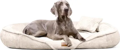 Produktbild von tierlando® Orthopädisches Hundebett XENIA | Kuschelig flauschiges Hundesofa - Größe: 115x90cm | Farbe: 05 Creme